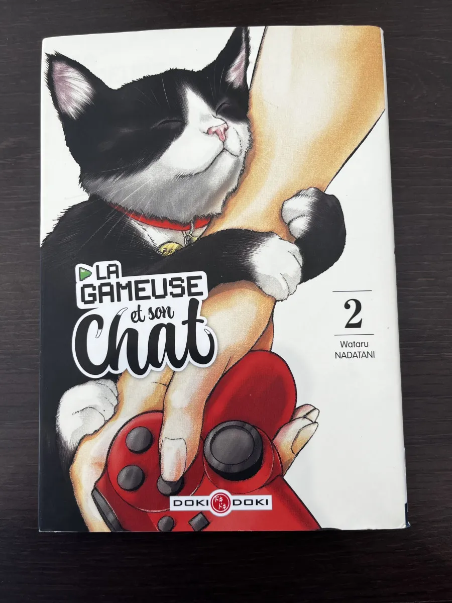 La gameuse et son chat - Tome 2