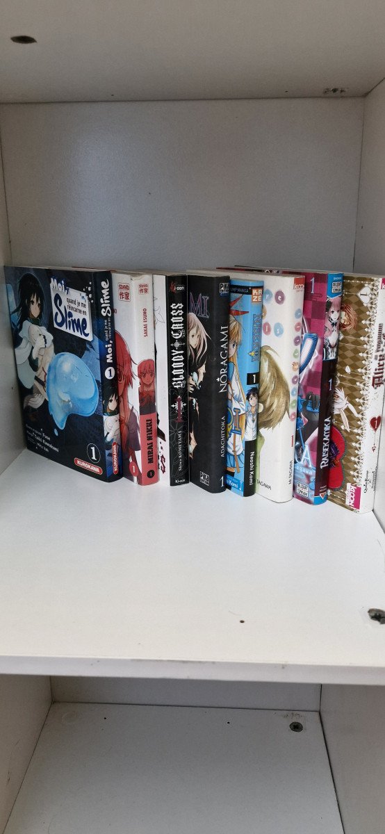 Lot manga