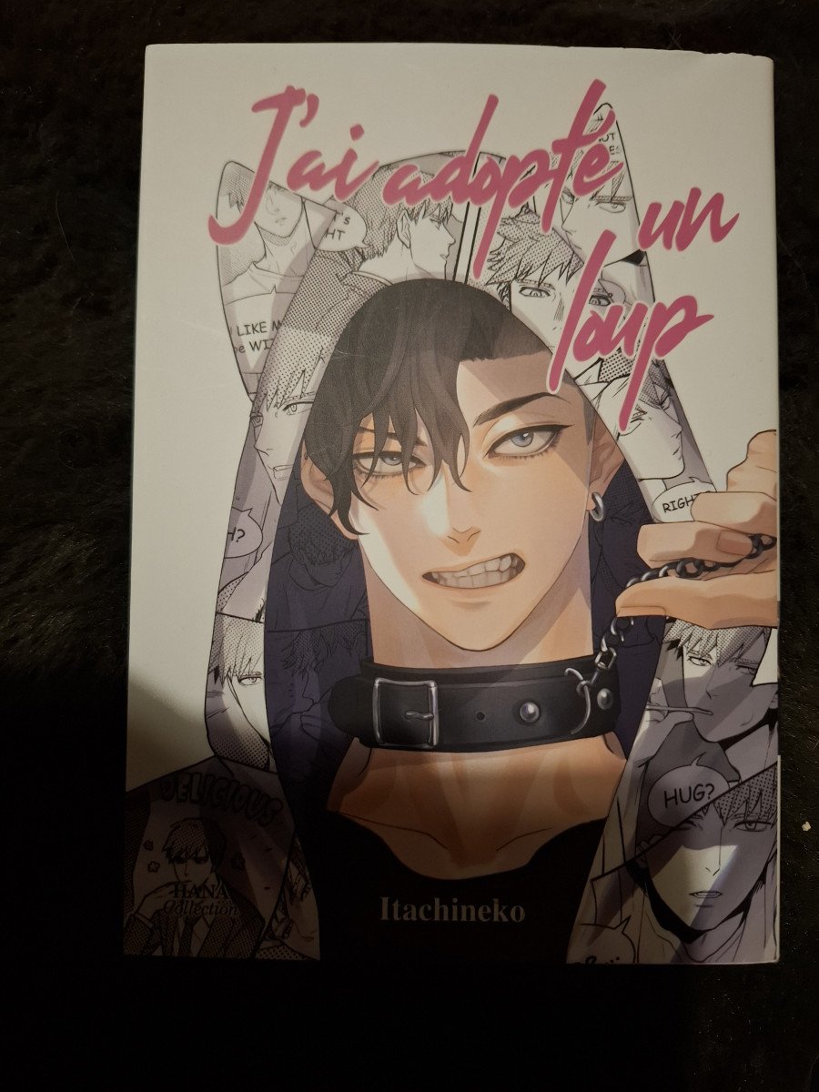 J'ai adopté un loup