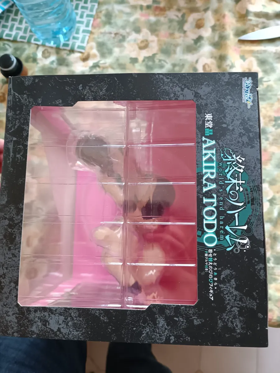 World's end Harem Akira Todo (neuf sous scellés)