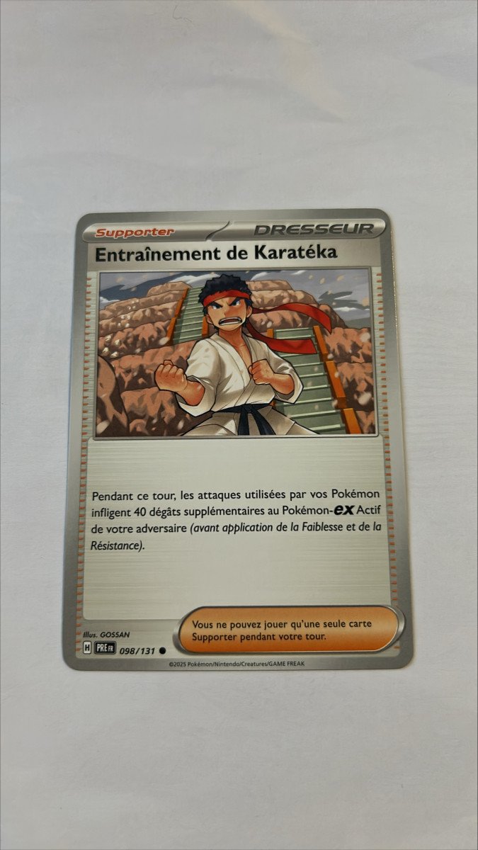 Entrainement de karatéka 98/131 Evolutions prismatiques