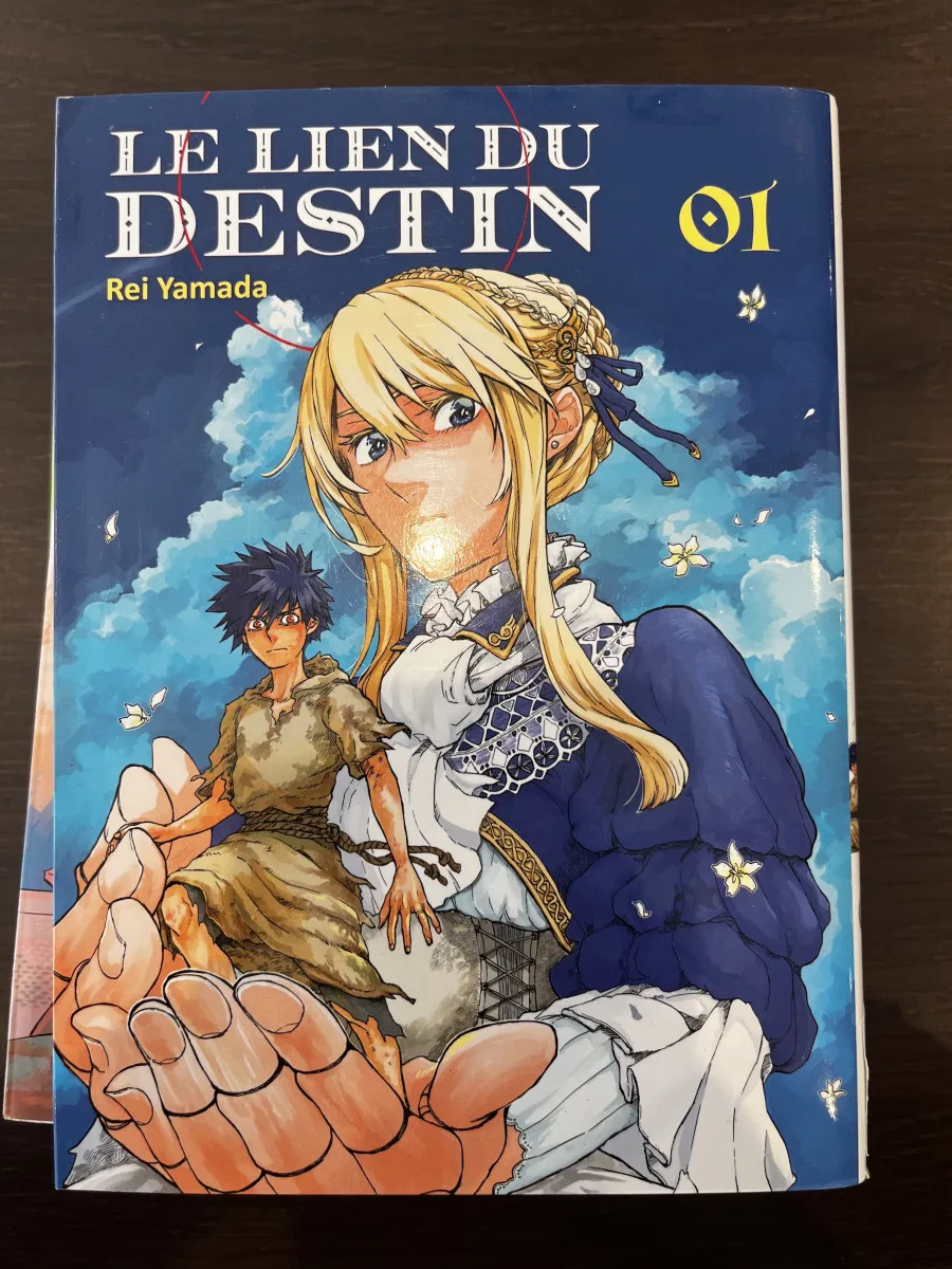 Le lien du destin - Intégrale