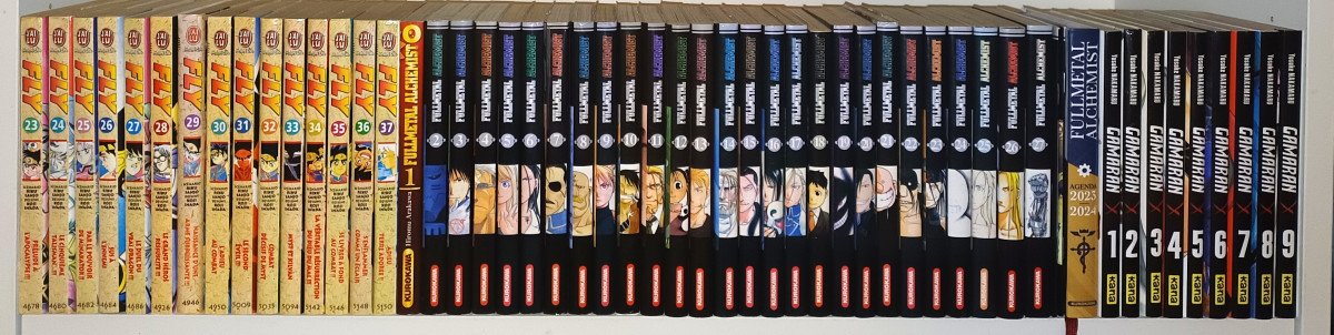 Mangas : Intégrales 2