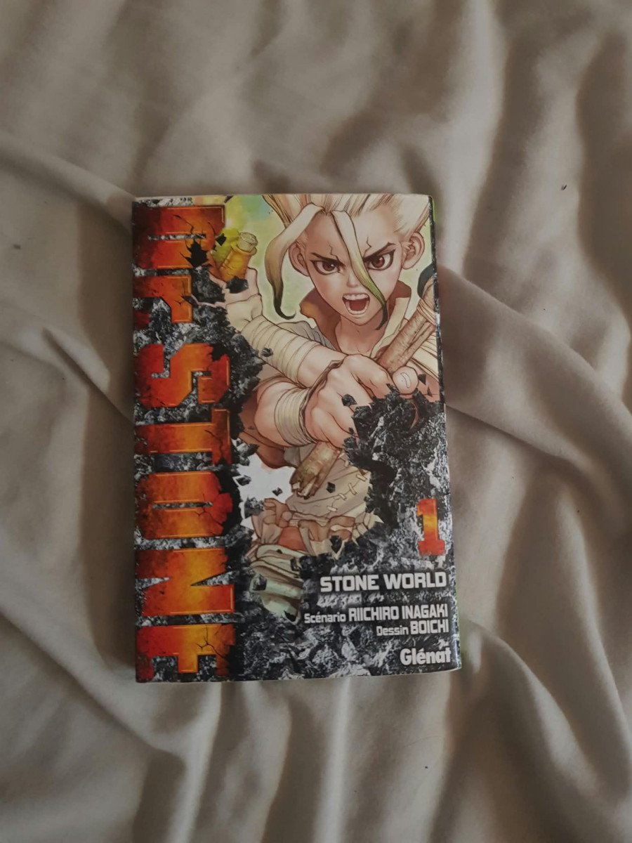 Manga Dr Stone Tome 1