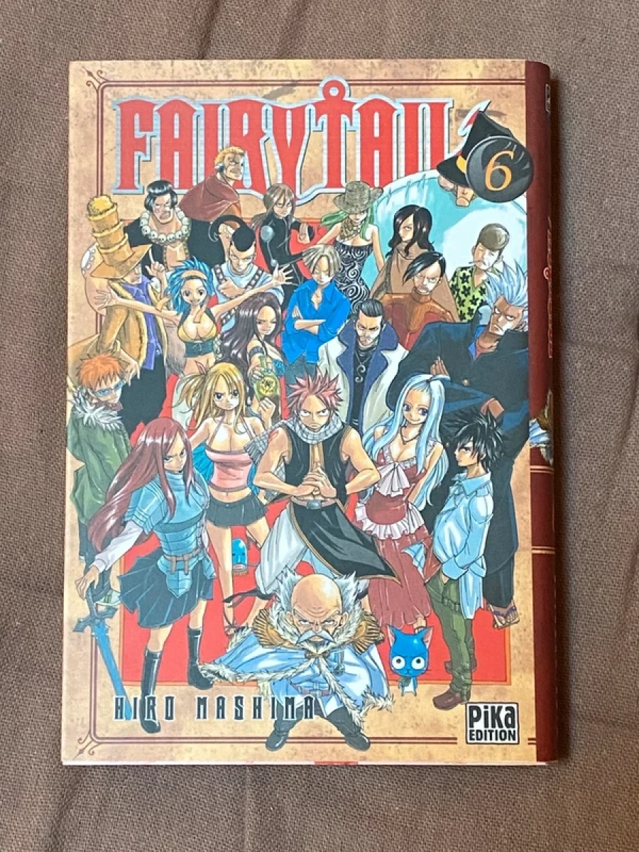 Manga Fairy tail tome 6 en français