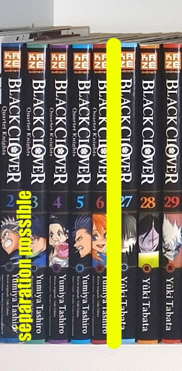 Black Clover : 27 à 29 (sur 37)
