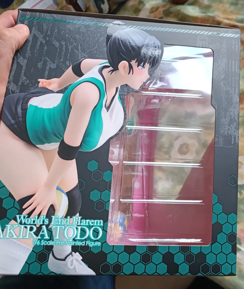 World's end Harem Akira Todo (neuf sous scellés)