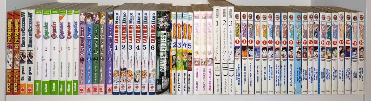Mangas : intégrales