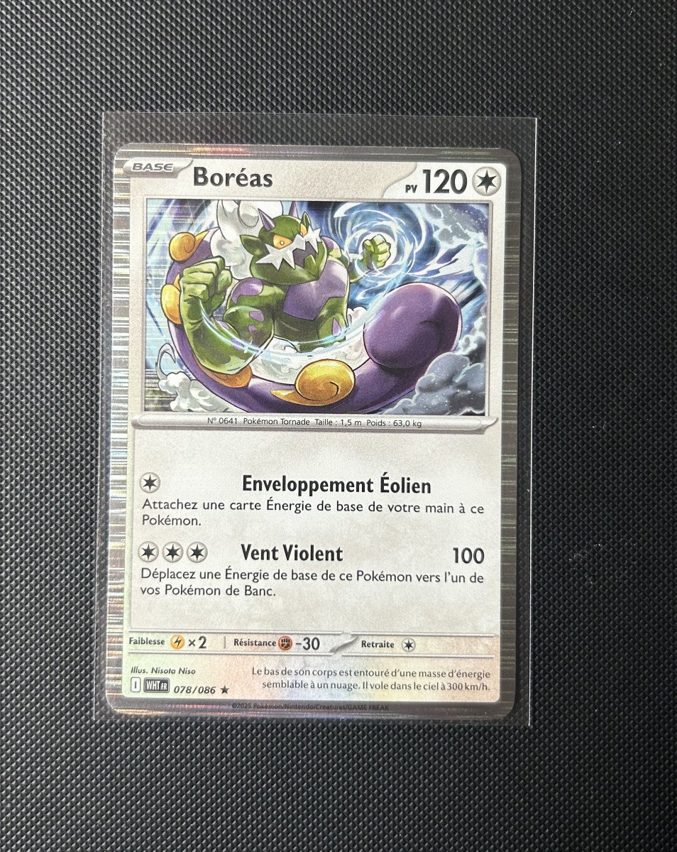 Carte Pokémon - Boréas 78/86 - Holo Ligne - Flamme Blanche