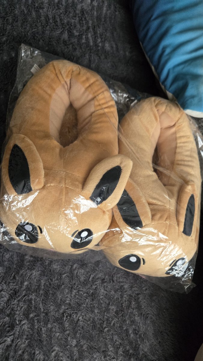 Chaussons pokemon evoli