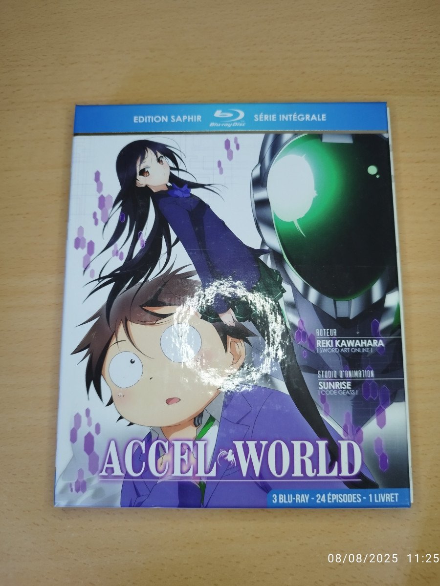 Accel World Intégrale