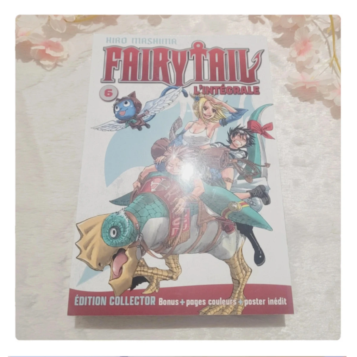 Manga Fairy Tail Hachette Edition Collector T06