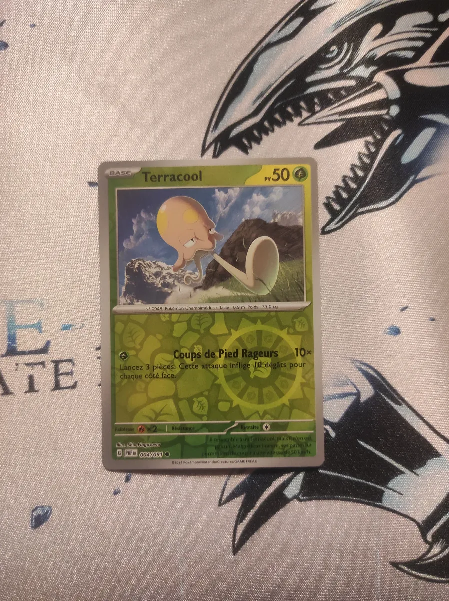 Terracool Reverse EV4.5