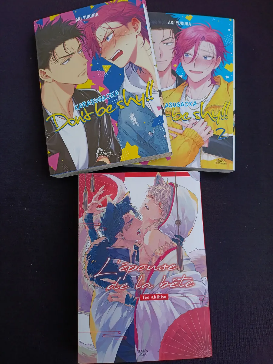 Lot de 3 mangas Yaoi