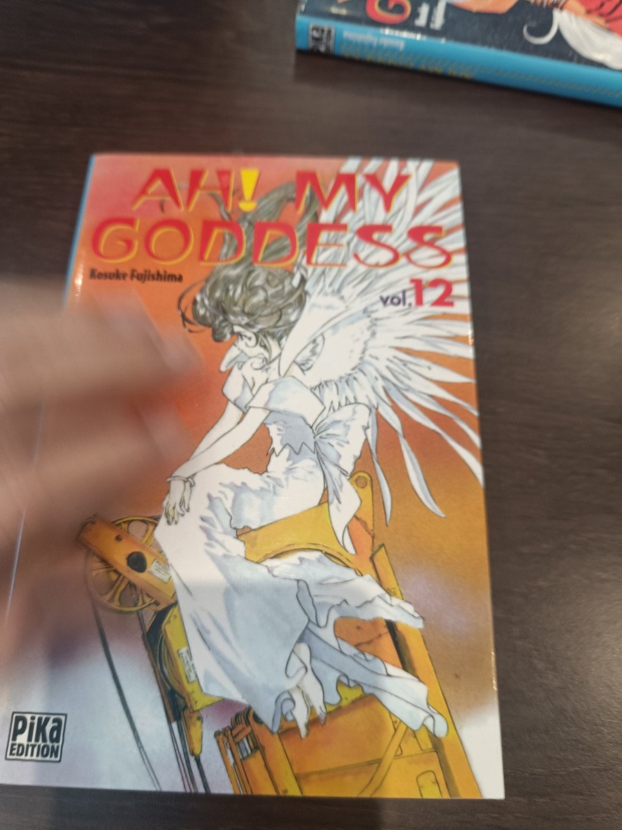 Ah ! My goddess tome 12