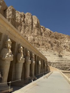 Photo de profil de : llef