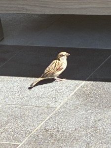 Photo de profil de : ray