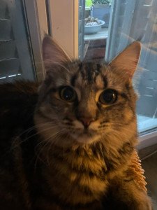 Photo de profil de : Belhassan