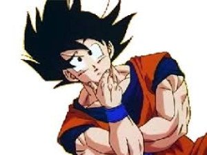 Photo de profil de : Son Gotaku