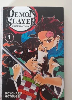 Tome 1 Demon Slayer