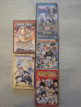 Fairy tail édition limitée