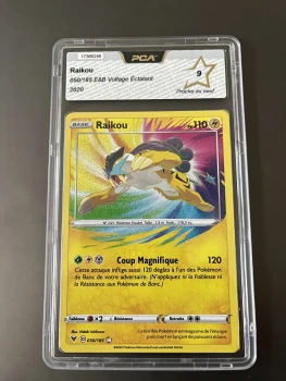 Carte Pokémon Raikou amazing PCA 9