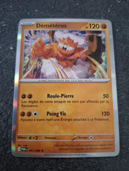 Démétéros holo