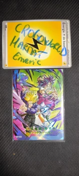 AKIRA TORIYAMA - CP-005