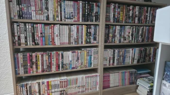 Vends 450 Mangas 3€/U