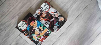 Tome 1 et 2 de Demon Slayer