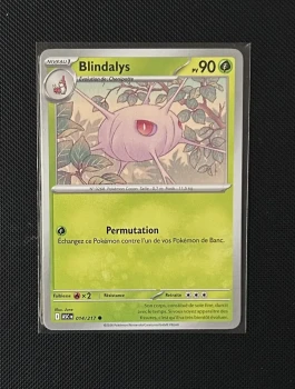 Carte Pokémon - Blindalys 14/217 - Héros Transcendants