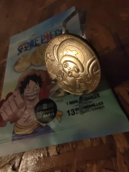2 Médailles One Piece + protections