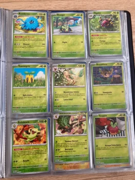 Cartes Pokémon co et unco Reverses de Mascarade crépusculaire (TWM Fr)