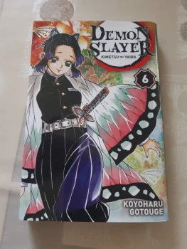 Demon slayer - tome 6