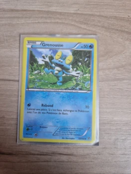 Grenousse de XY carte commune