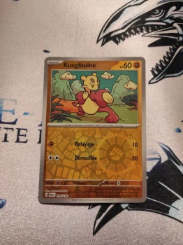 Kungfouine Reverse EV4