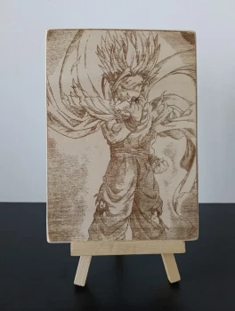 Plaque Dragon Ball z Gohan gravée