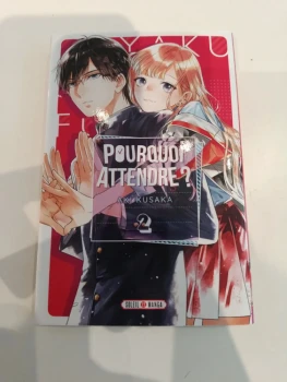 Pourquoi attendre ? tome 02