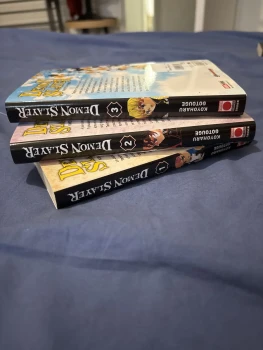 Demon Slayer 1 à 3