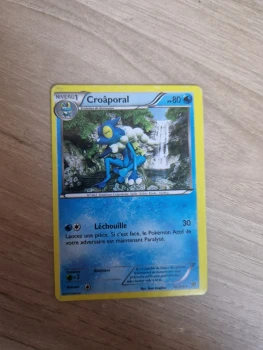 Croaporal de Xy czrte commune