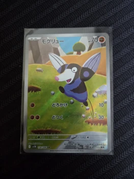 Rototaupe AR en japonais