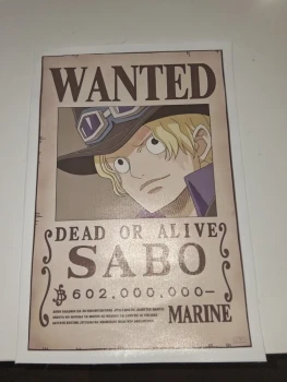 Affiche de recherche sabo