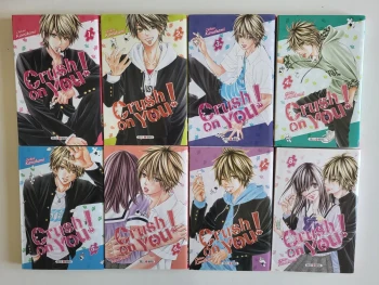 Crush on you Intégrale : Tome 1 à 8 (manga de Chihiro KAWAKAMI)