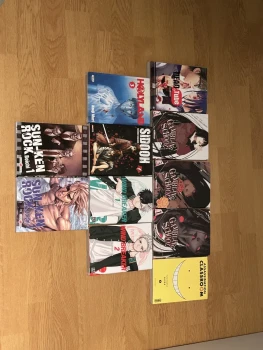 Lot : Manga