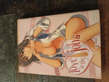 Love on the job 2