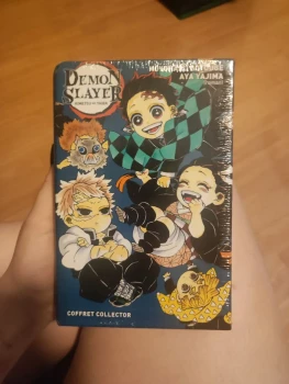 Demon slayer T22 collector