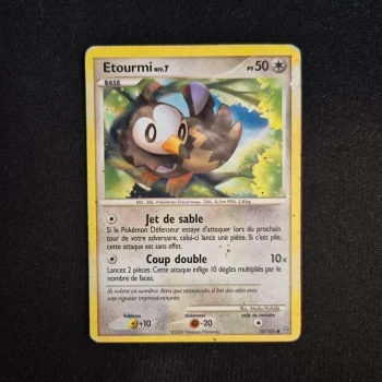 Carte Pokemon : Etourmi - Tempête