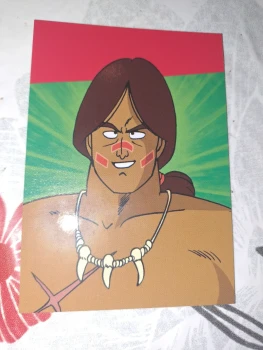 D39 dragonball universal collection panini