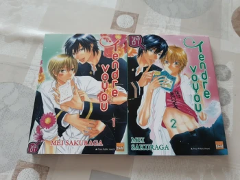 Lot yaoi - tendre voyou - tomes 1 et 2