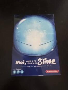 Vente de mangas et figurines